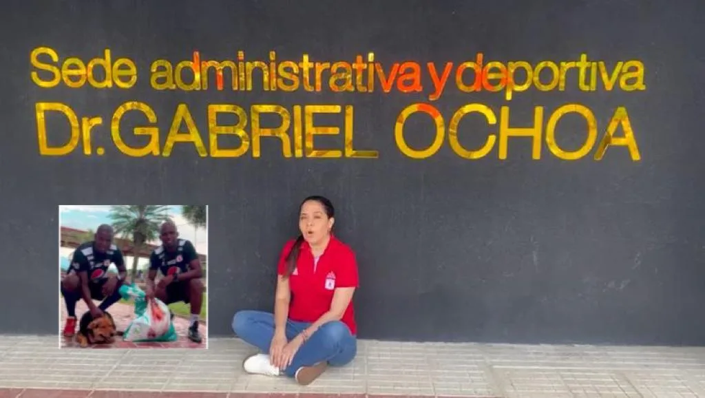clásico donación Pascual
