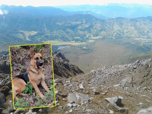 ‘Kira’ fue en busca de los desaparecidos en el volcán Doña Juana y se extravió, su familia está desesperada