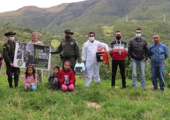 Ejemplares de fauna silvestre que se estaban en cautiverio fueron liberados en zona rural de Pasto
