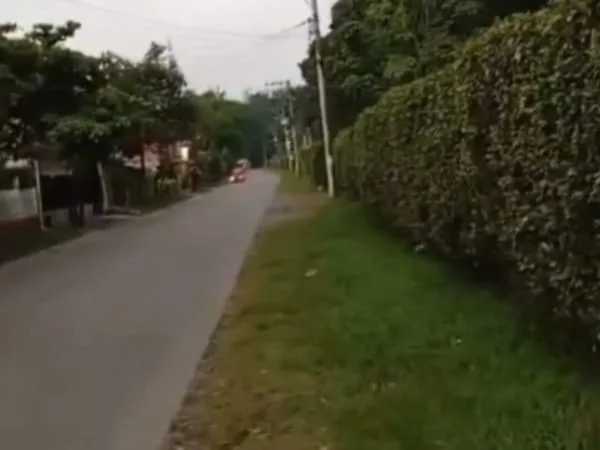 Hostigamiento en la subestación de Potrerito, zona rural de Jamundí, Valle.