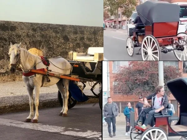 Alejandro Riaño entrega primer carruaje eléctrico en Cartagena: "No mas caballos cocheros"