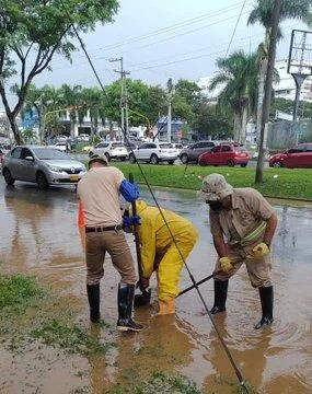 sur de Cali