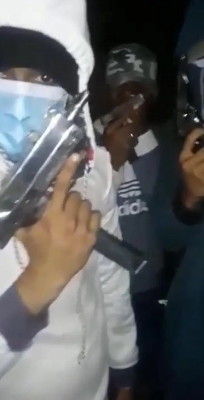 Videos