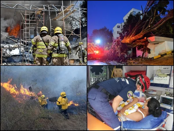 bomberos cali