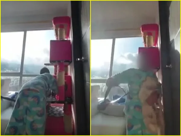 Niño en Pasto grabó vídeo para mostrar como ‘se castiga a un perrito’ y ahora piden apoyo para rescatar a las mascotas