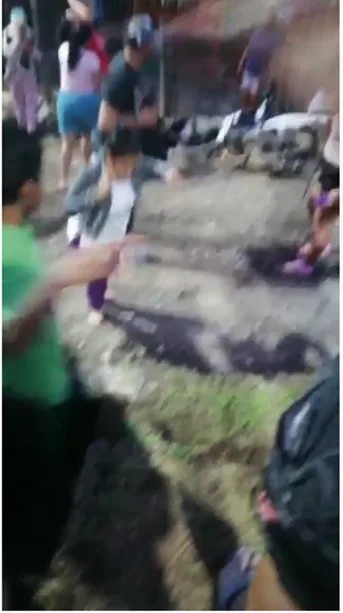 morales cauca