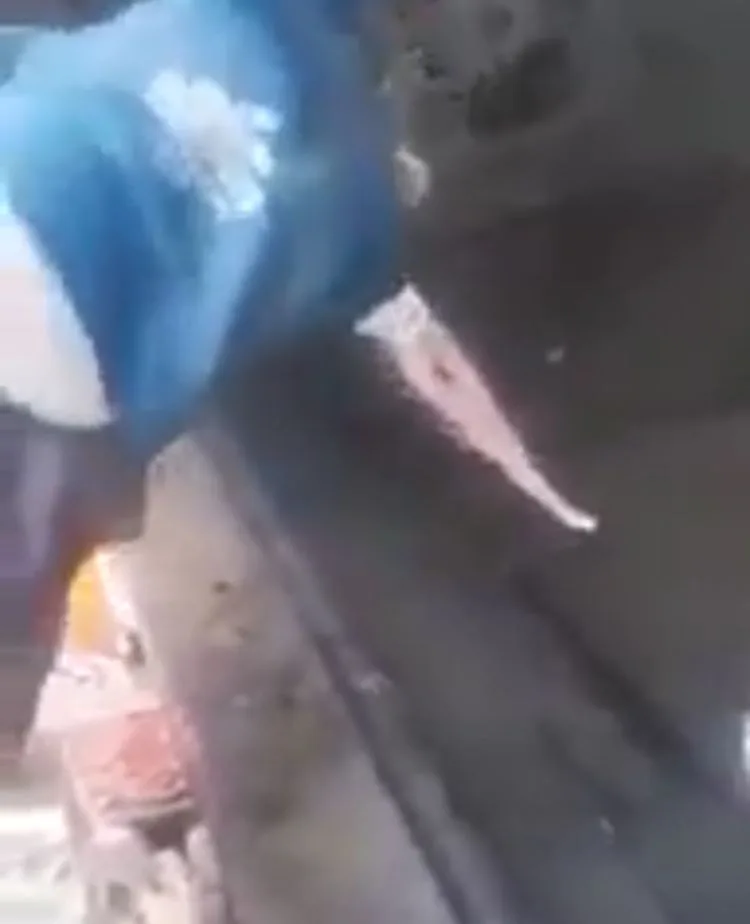 la basura brujería Palmira
