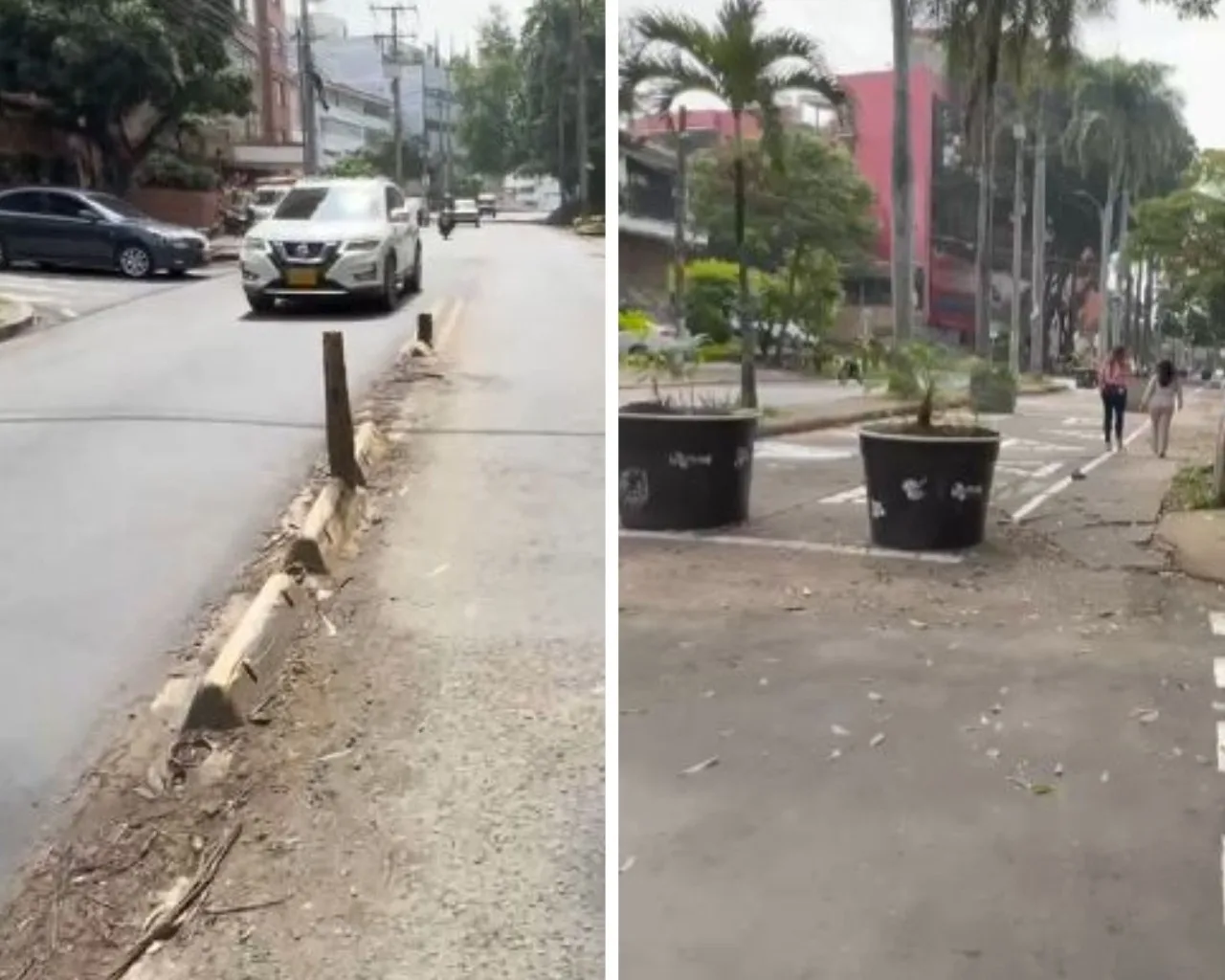 materas en Cali en el Parque del Perro