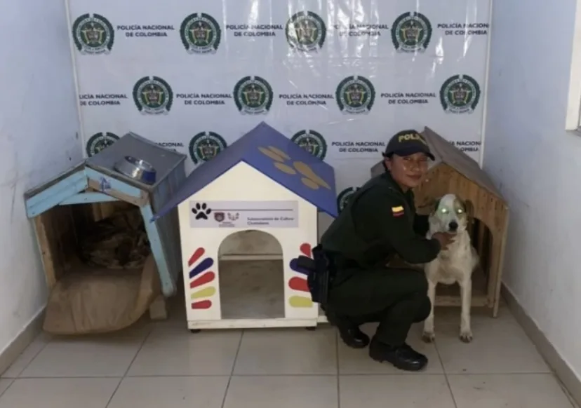 Policía Pasto