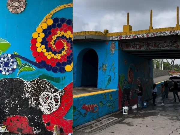 Del abandono al arte: el túnel de la Calle 25 en Cali renace con un mural que celebra la biodiversidad del Valle