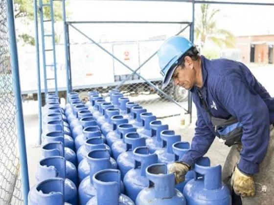 Aprobaron ley que promueve el uso del Gas Licuado para el remplazo de la leña