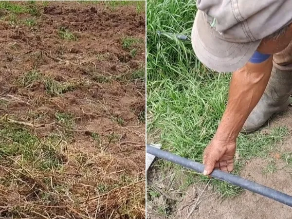 Campesinos de Cujacal siguen en crisis: denuncian que ya hay pérdidas en cultivos tras dejarlos sin servicio de agua, suplican apoyo al alcalde