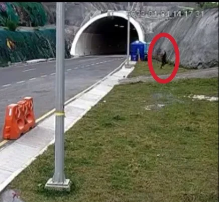 túneles accidente La Línea