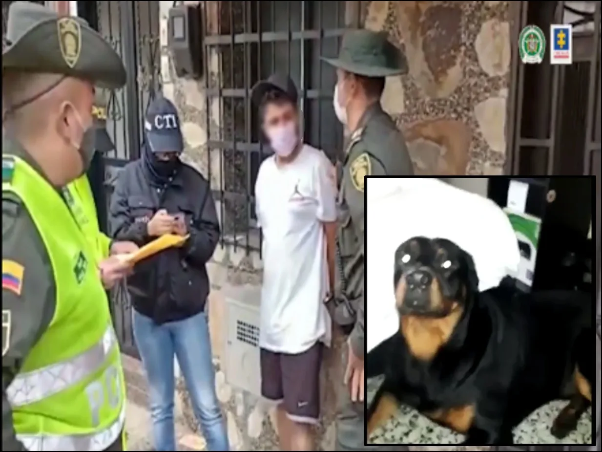 Le pegaba al perro de su novia y le enviaba vídeos por Whatsapp para intimidarla, la mujer lo denunció