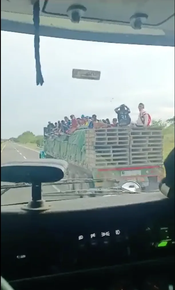 de polizones en
