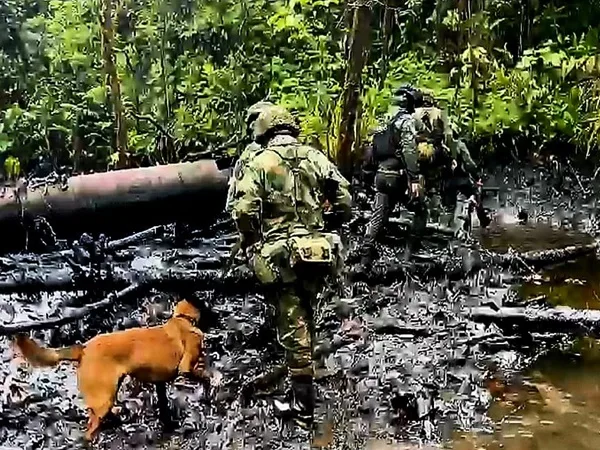 Crisis ambiental en Nariño por la instalación de 52 válvulas ilícitas para robar crudo