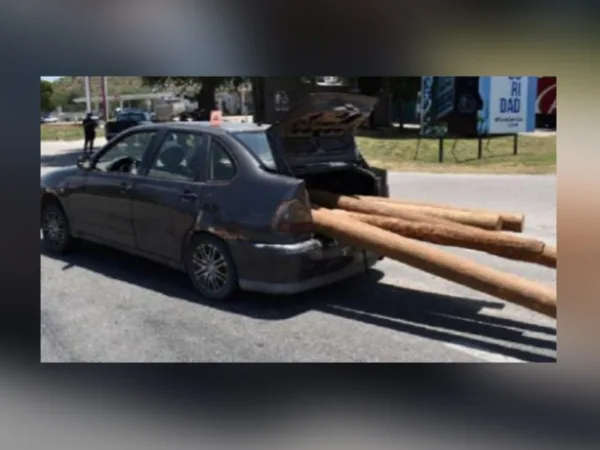 troncos de madera Argentina San Luis