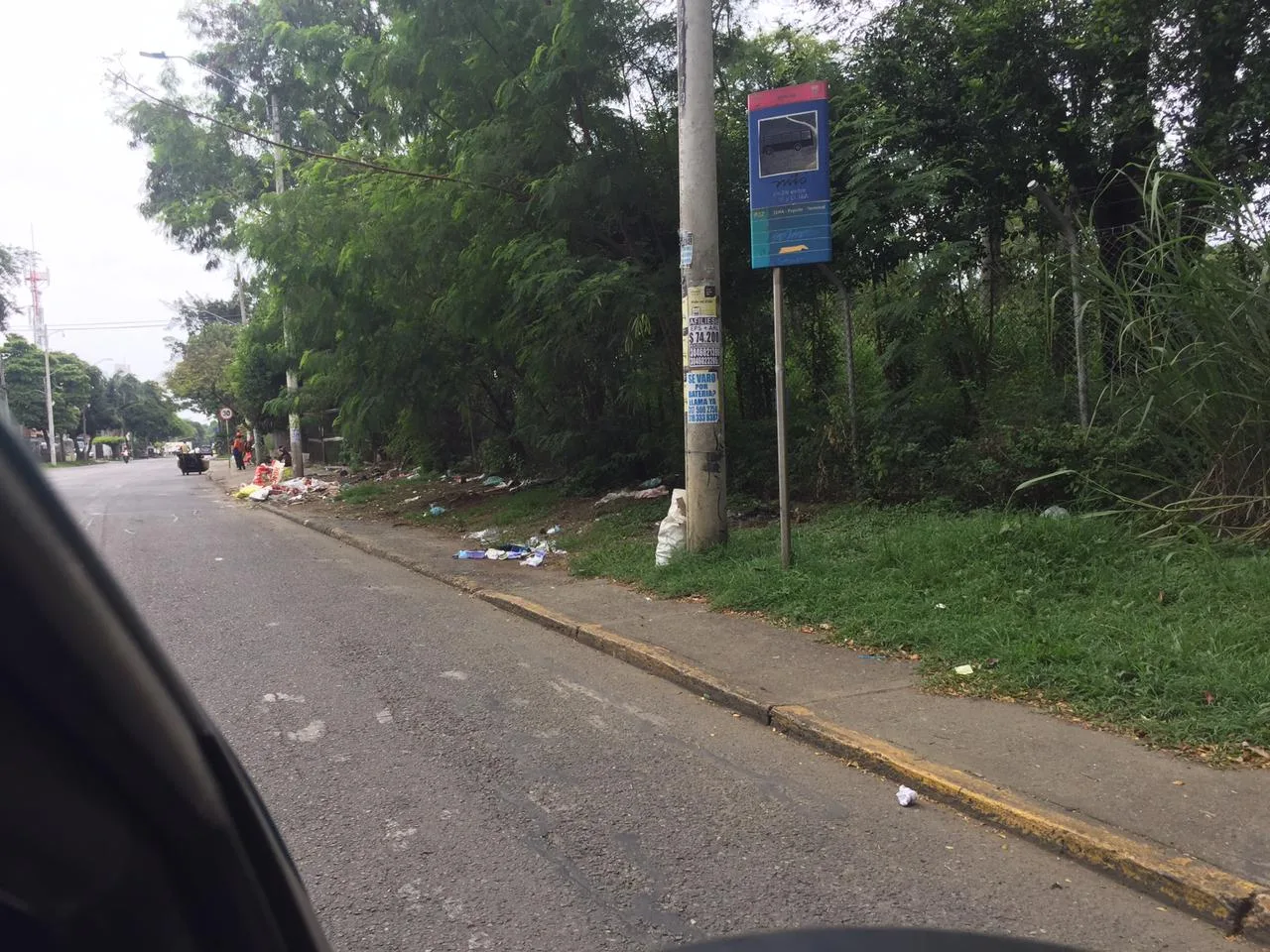 de cali en