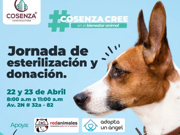 jornada