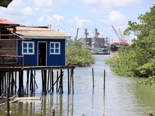 Los Espartanos mantienen tregua en Buenaventura.