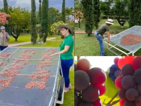 La ruta agroturística entre el cacao y el vino a 1 hora de Cali
