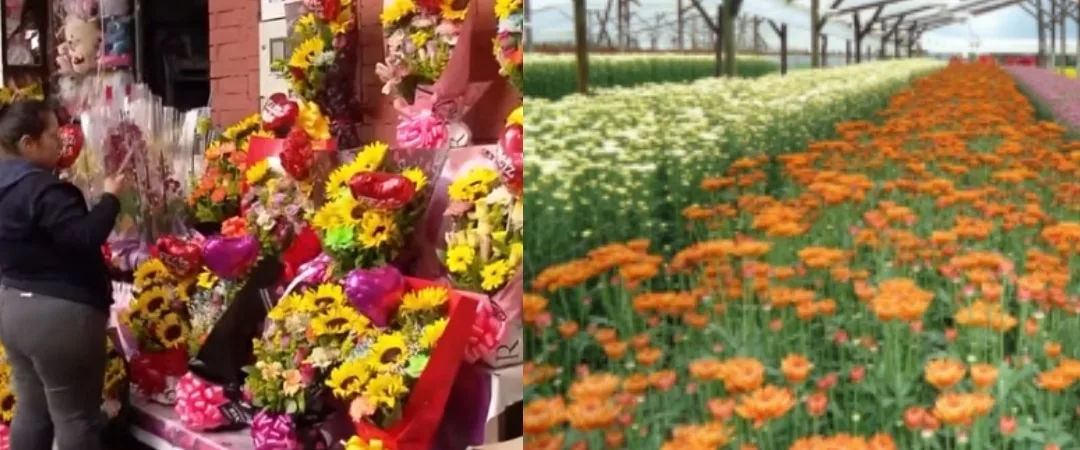 Día de las Madres impulsa el 15% de las ventas florales en Colombia