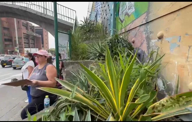 materas en Cali en el Parque del Perro