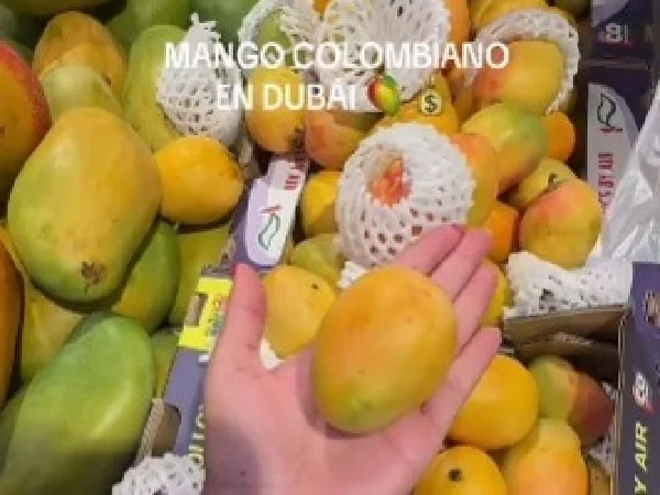 Cuánto cuesta el mango en Dubai, Emiratos Árabes.