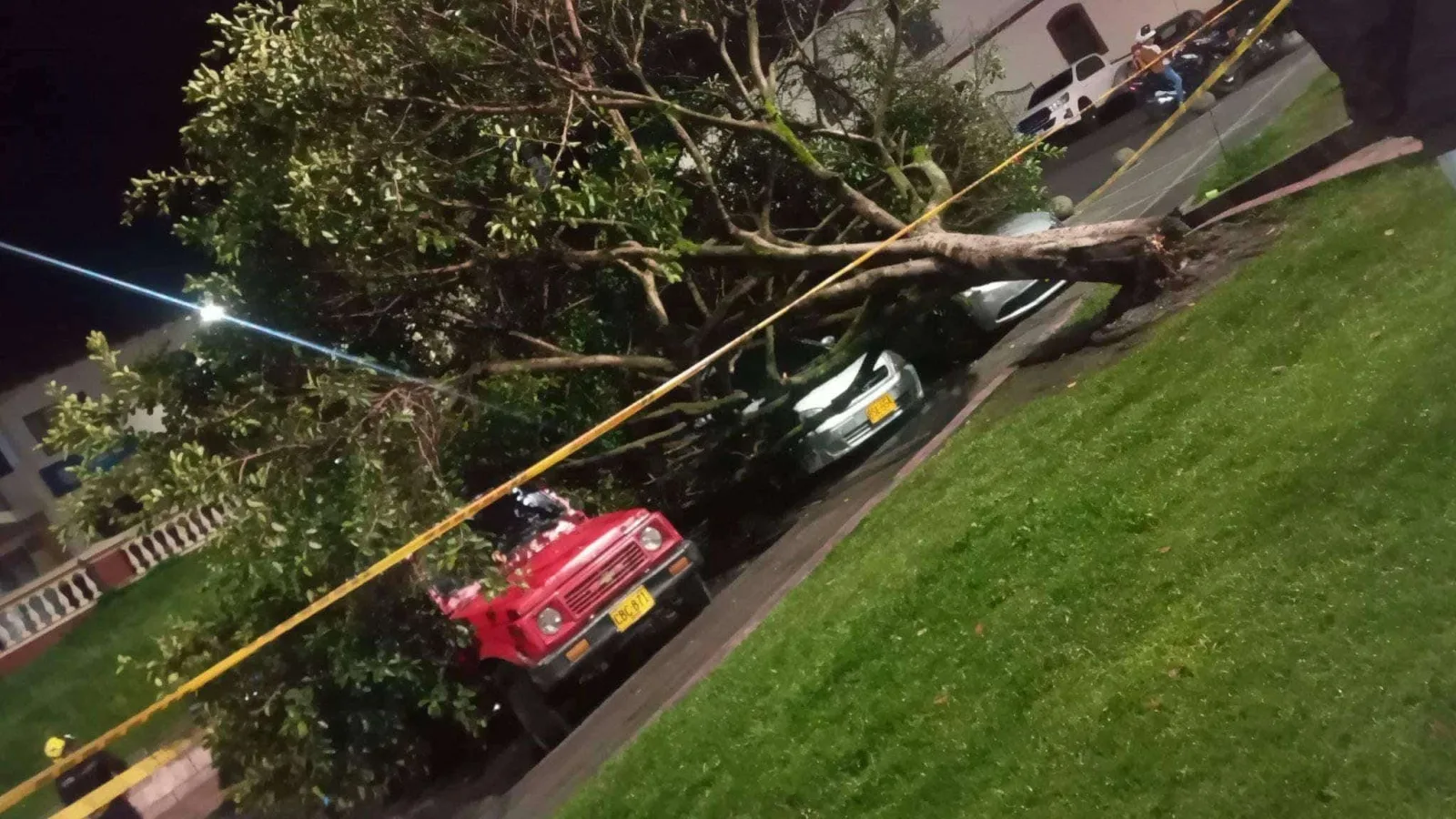 Se cayo un árbol y afecto tres vehículos en el parque de Santiago de Pasto