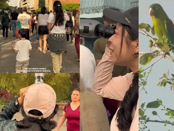 Así puede participar de una expedición botánica en Cali : una cita para reconectarte con la naturaleza urbana