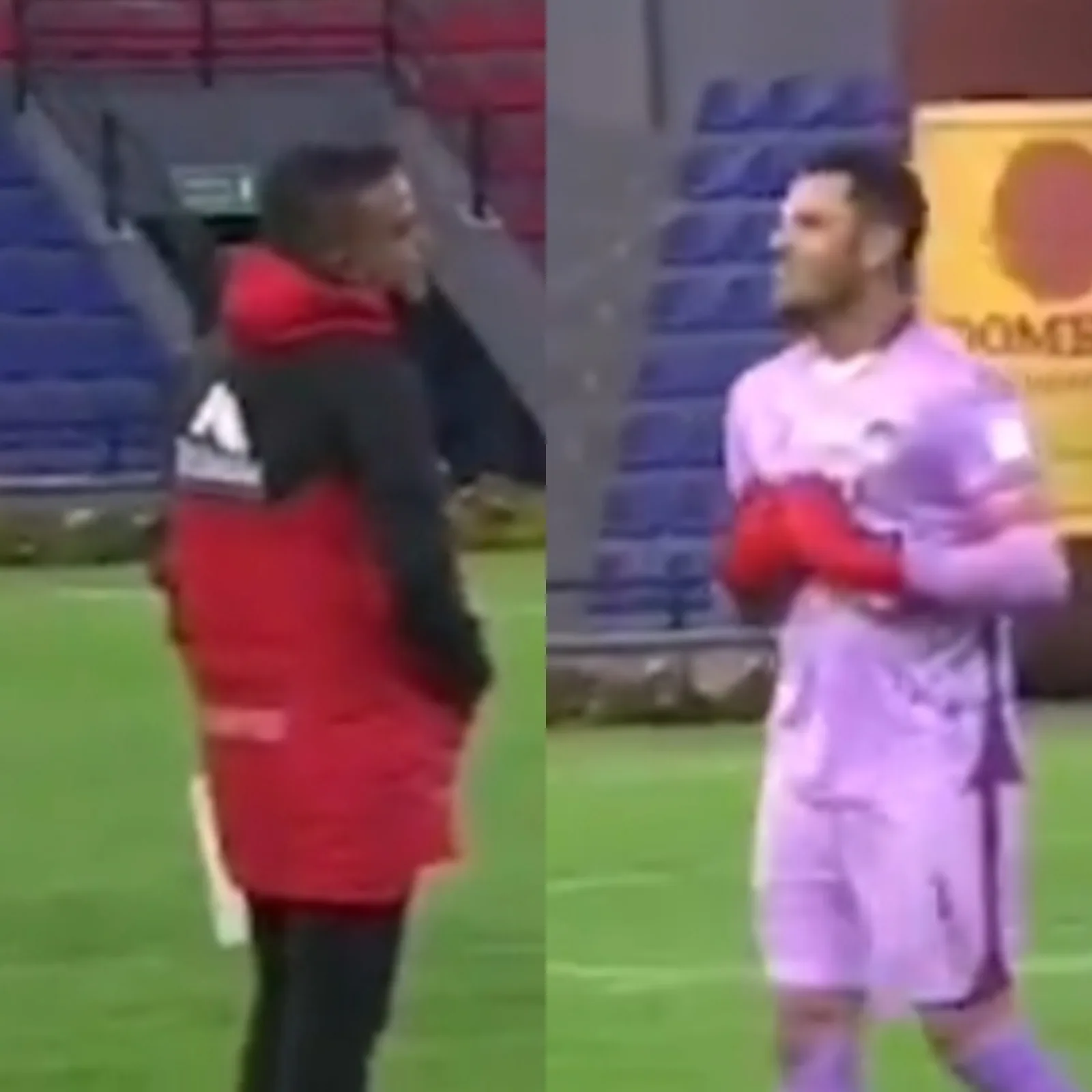 Pasto viera