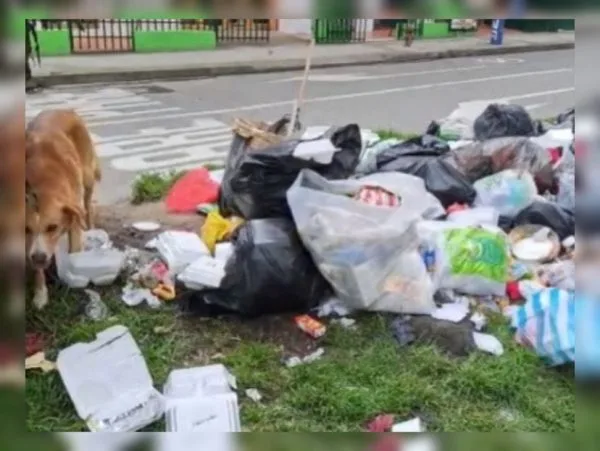 En El Tejar piden "más de conciencia", depositan la basura para ser recolectada pero "siempre termina en reguero"