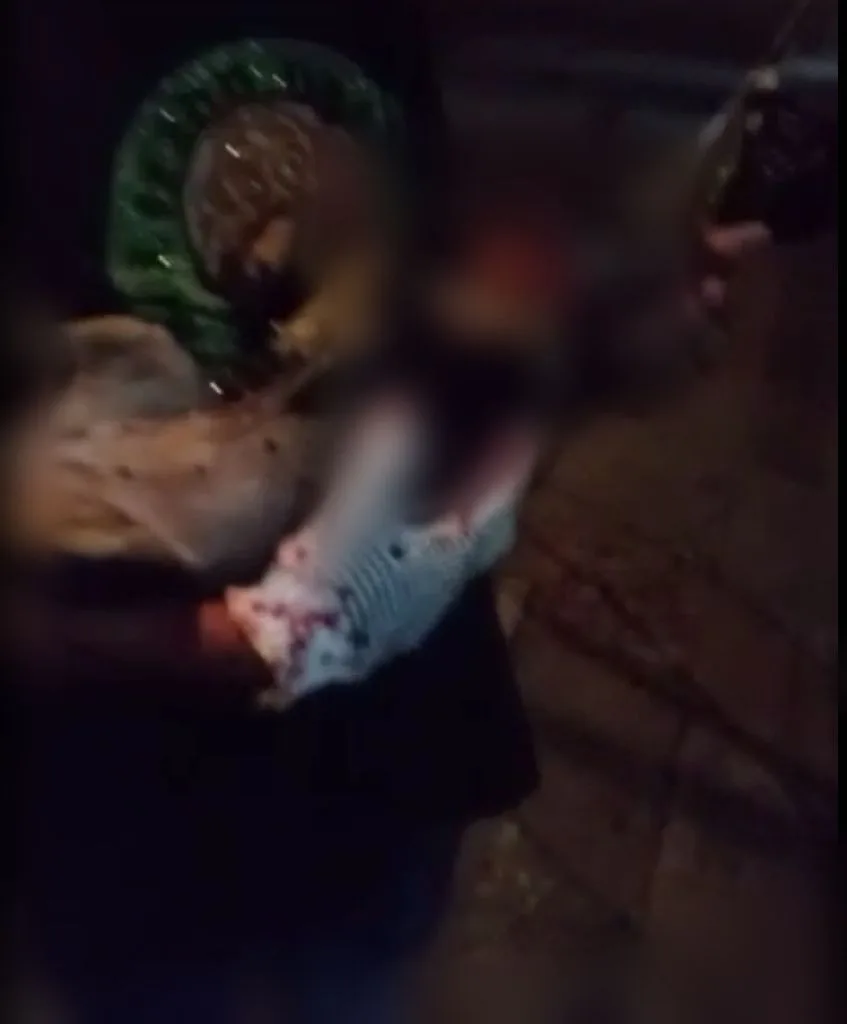 San Antonio caso de vecino perros