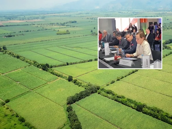 Alerta "por invasiones" y confrontaciones en ingenios azucareros del Cauca