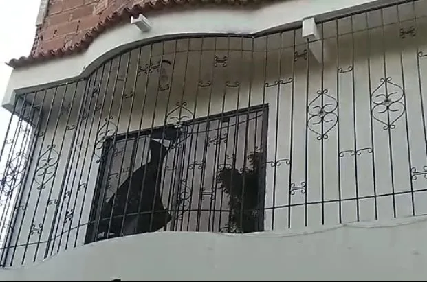 Cúcuta explosiones