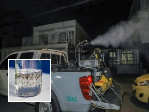 El dengue en Cali sigue tomanado fuerza, las autoridades trabajan en su control