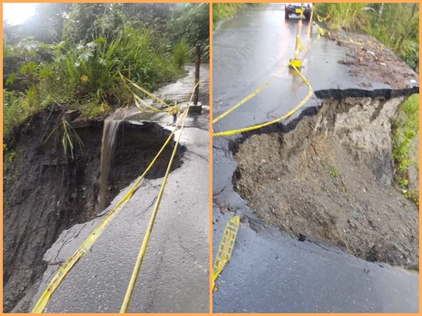 El riesgo que corre la cosecha de café en Albán por cuenta de las lluvias, alcalde pide apoyo