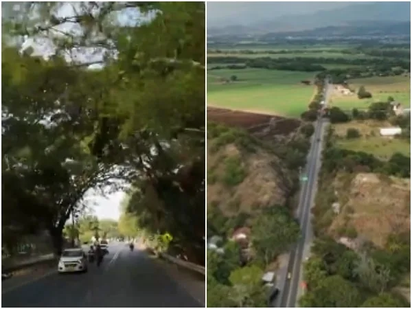 «Hay que respetar el dictamen»: rediseñarán la vía Buga-Buenaventura para evitar la tala masiva de árboles