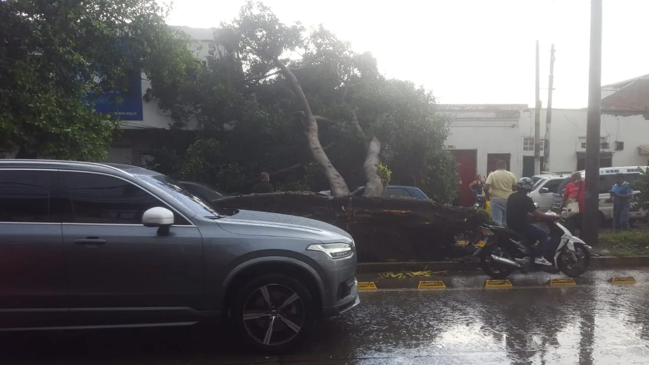 lluvias en cali