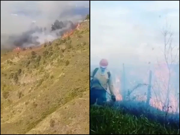 valle del cauca