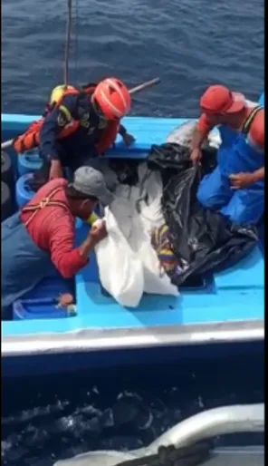 pesca extraída ilegalmente