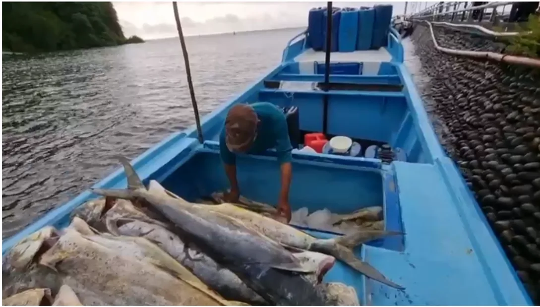 pesca extraída ilegalmente