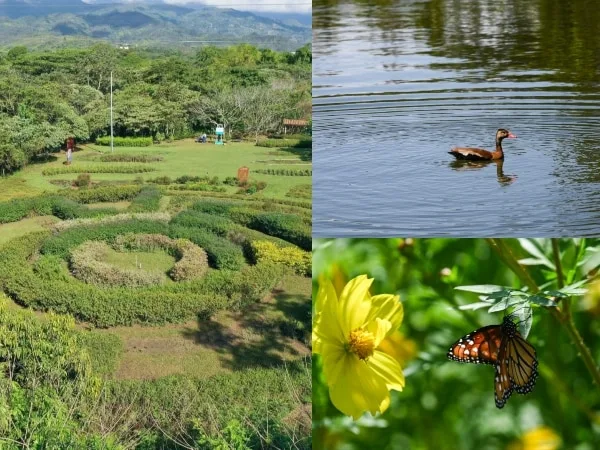 Abren al público el Ecoparque de la Biodiversidad COP16, nuevo pulmón verde de Cali