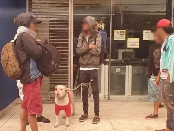 No para robo de mascotas por extranjeros: ‘Alfa’ fue raptado en Ecuador pero lograron rescatarlo en Chachagüí