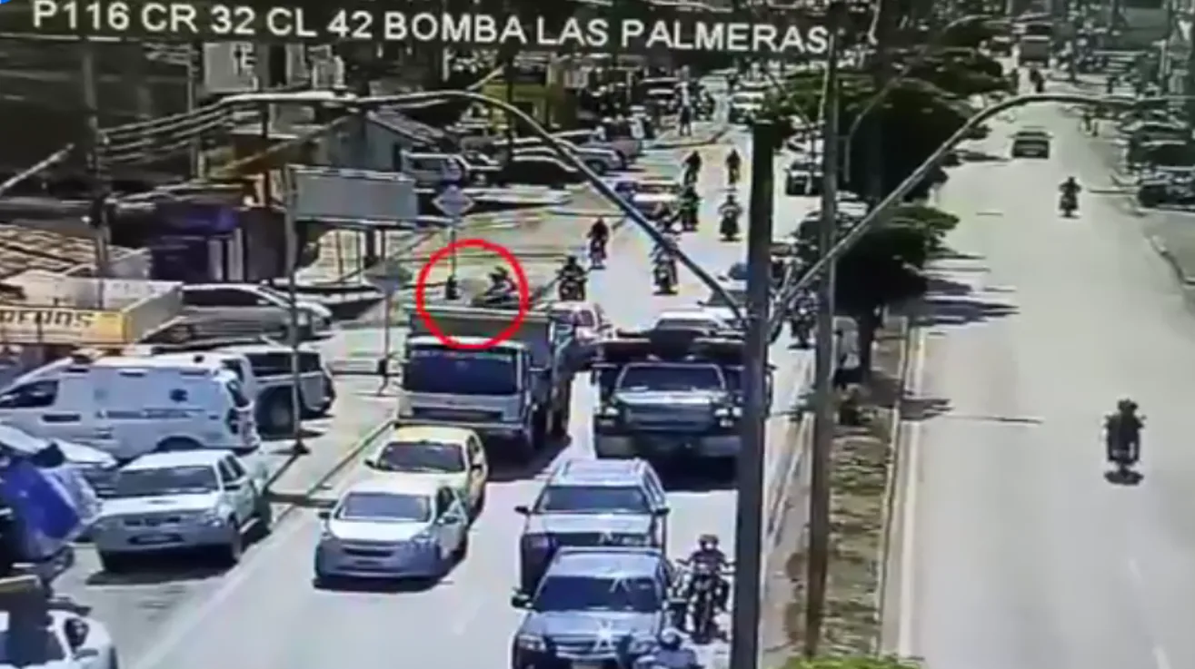 de palmira