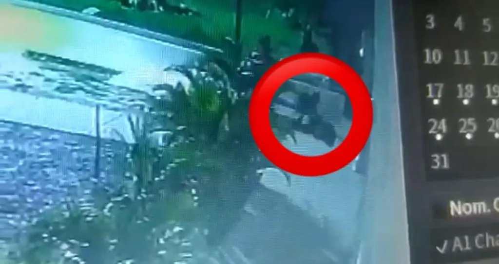vigilante asesinado en Soledad