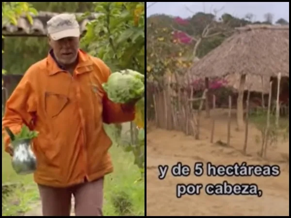 «Tierras por Vasectomía»: El experimento polémico de Erwin Goggel en el caribe colombiano