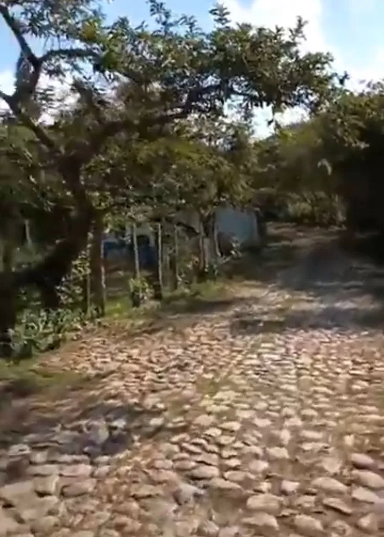 Dagua SAE predio Paz Animal