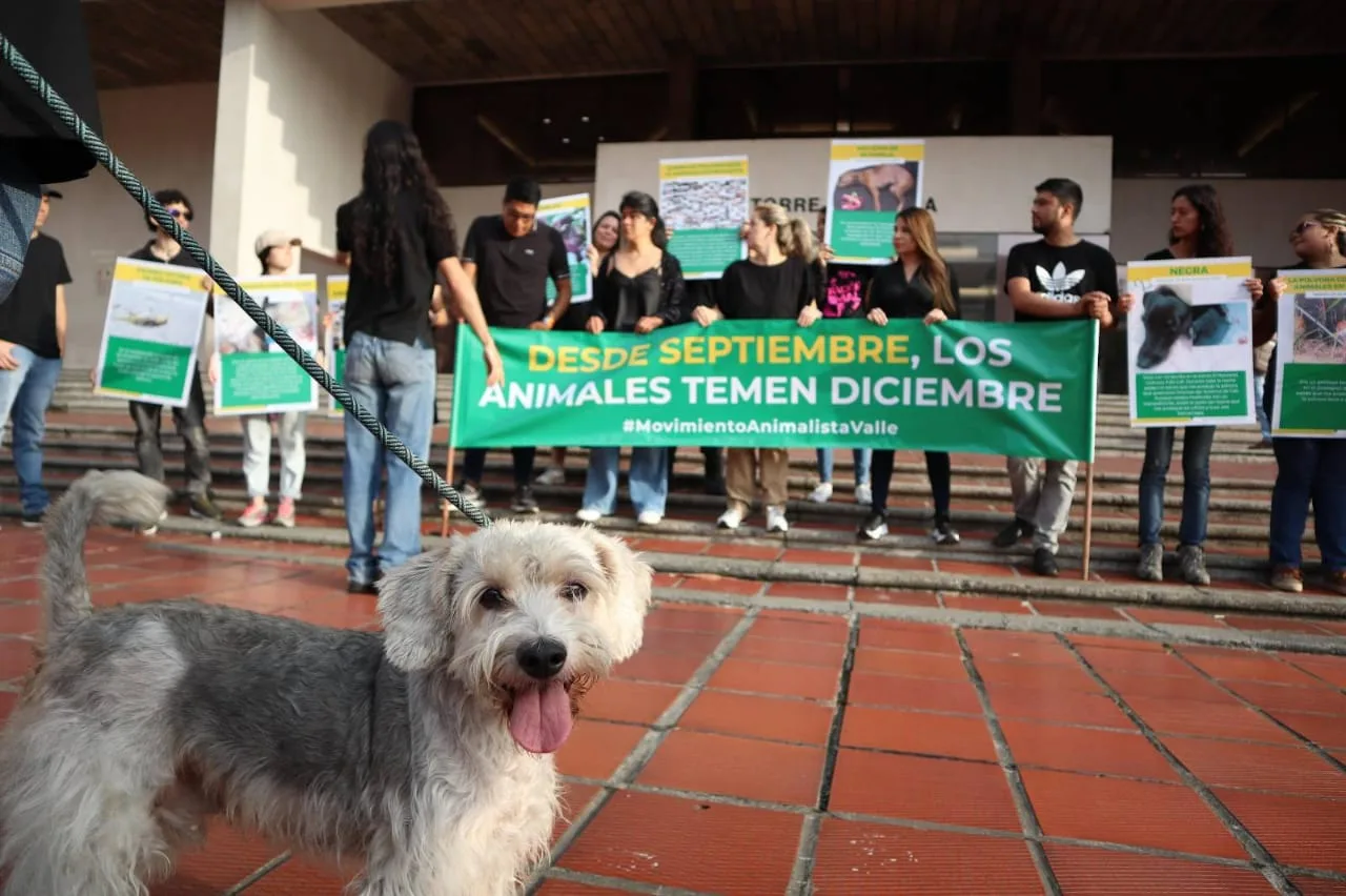 lo pólvora en Cali 