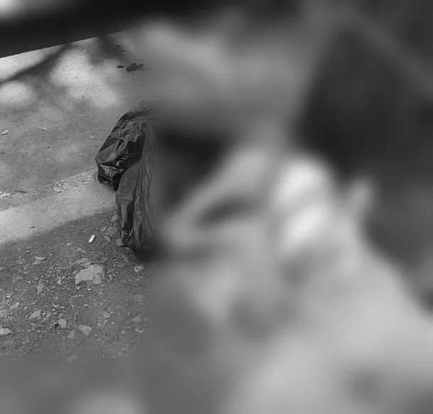 mascota